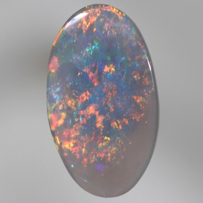 SOLID SEMI BLACK OPAL Red Floral Harlequin pattern